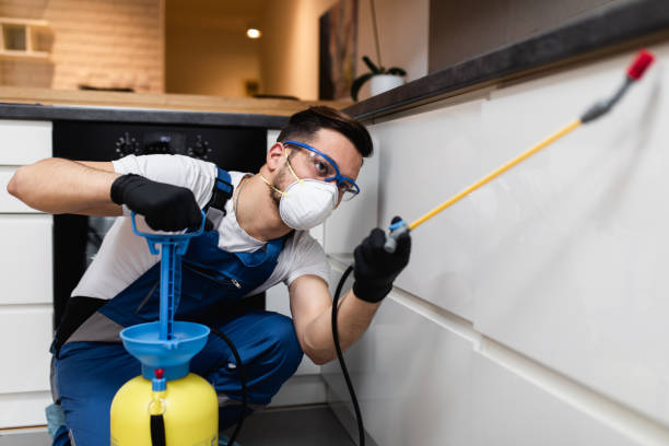 Best Cockroach Control Services  in Berwyn Heights, MD