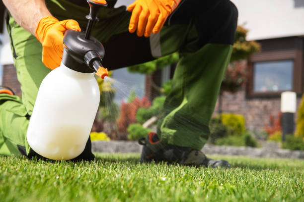 Best Termite Control Services  in Berwyn Heights, MD