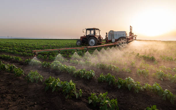 Best Commercial Pest Control Services  in Berwyn Heights, MD