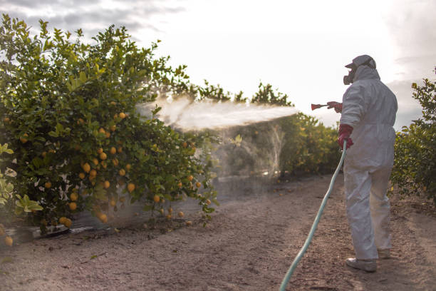 Best Affordable Pest Control Services  in Berwyn Heights, MD