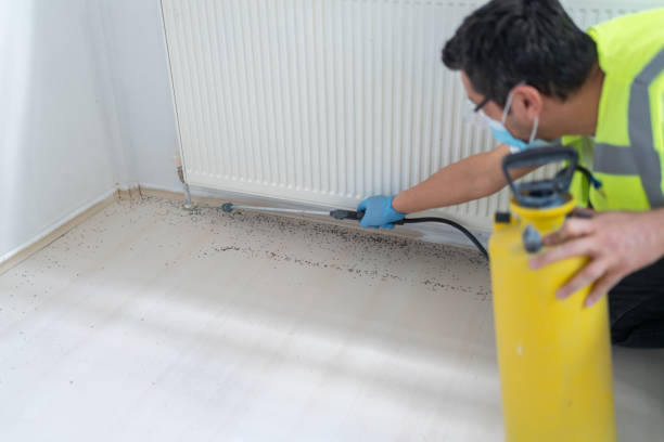 Best Affordable Pest Control Services  in Berwyn Heights, MD