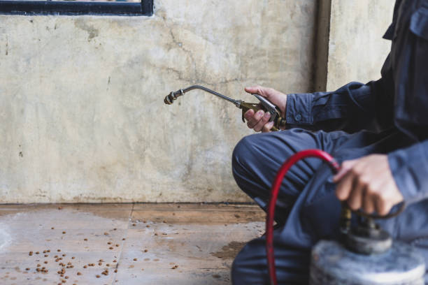 Best Pest Control Near Me  in Berwyn Heights, MD