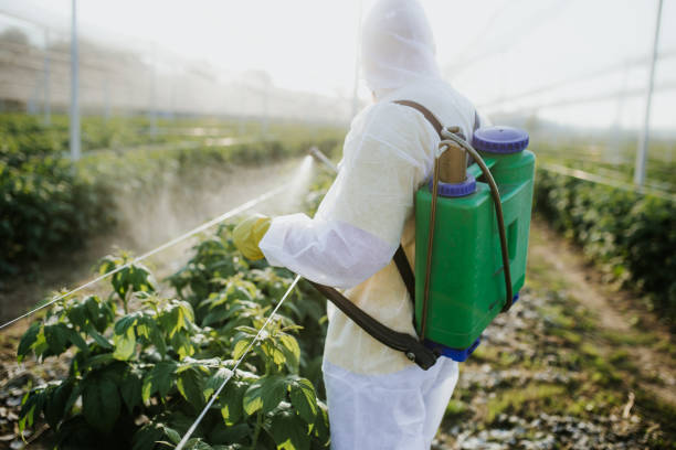 Best Rat Extermination Near Me  in Berwyn Heights, MD